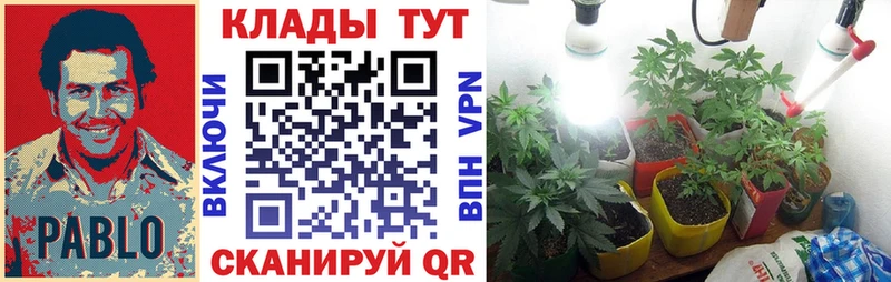 Продажа наркотиков Ишимбай LSD-25  Alpha PVP  Меф  Каннабис  ГАШ 