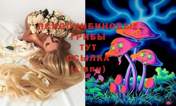 метамфетамин Инта