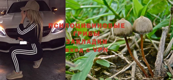 PSILOCYBIN Зерноград
