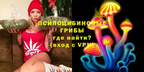 PSILOCYBIN Зерноград