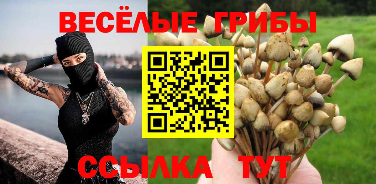 Галлюциногенные грибы мицелий  Вход с VPN  Ишимбай 